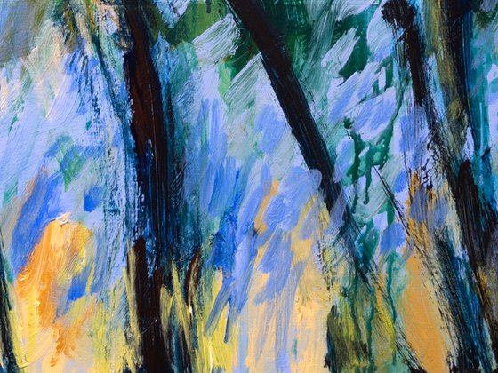 The Bluebell Forest