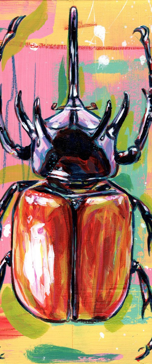 Five horned rhino beetle by Paul Ward