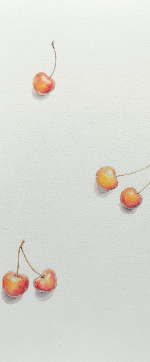 "Rainier Cherries" by Yana Dulger