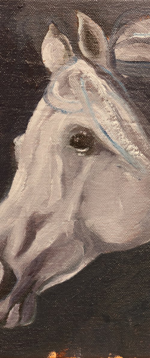 Equine Head Arab White (study 5) by Zil Hoque