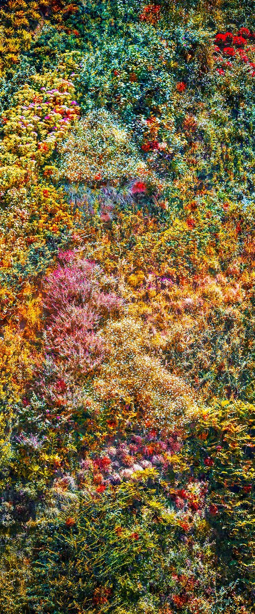 Wall of Nature I (Framed) by Viet Ha Tran