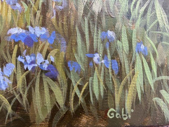 Springtime in the Woods VI