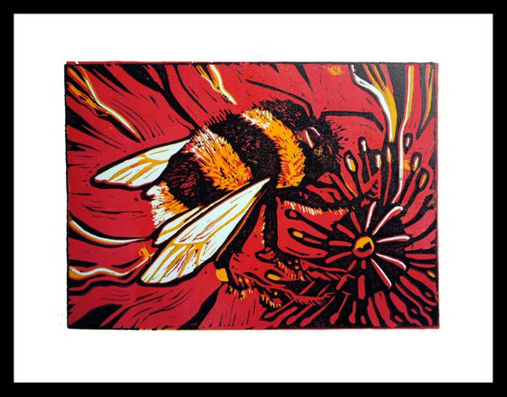 Bumble Bee on Poppy
