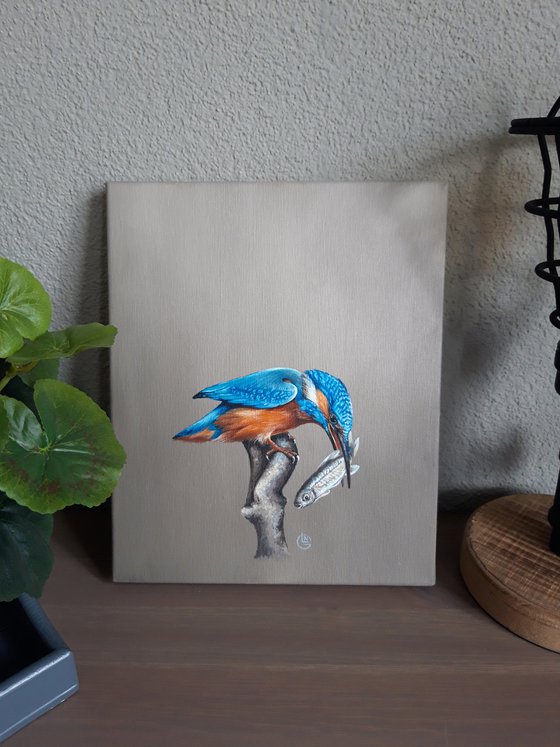 Kingfisher,bird,realistic picture,original artwork