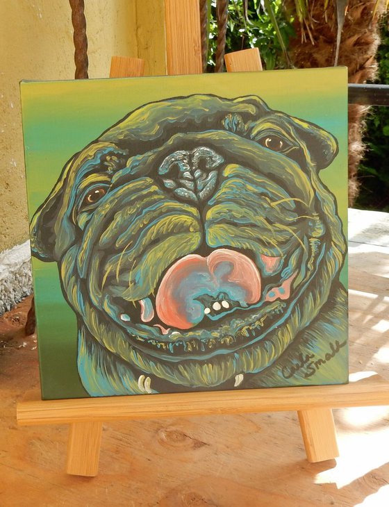 Rainbow Pug Dog Original Art Painting-8 x 8 Inches Deep Set Stretched Canvas-Carla Smale