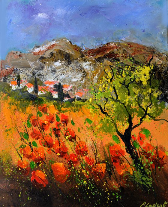 Poppies in Provence