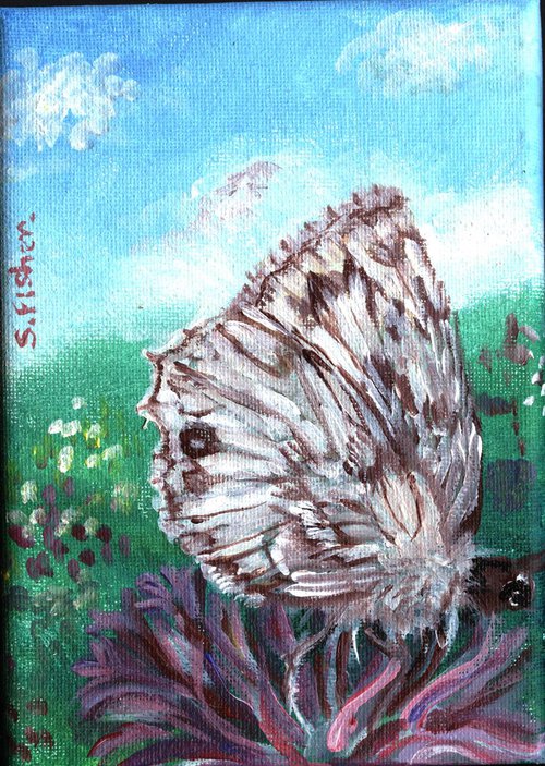 marbled white butterfly by Sandra Fisher