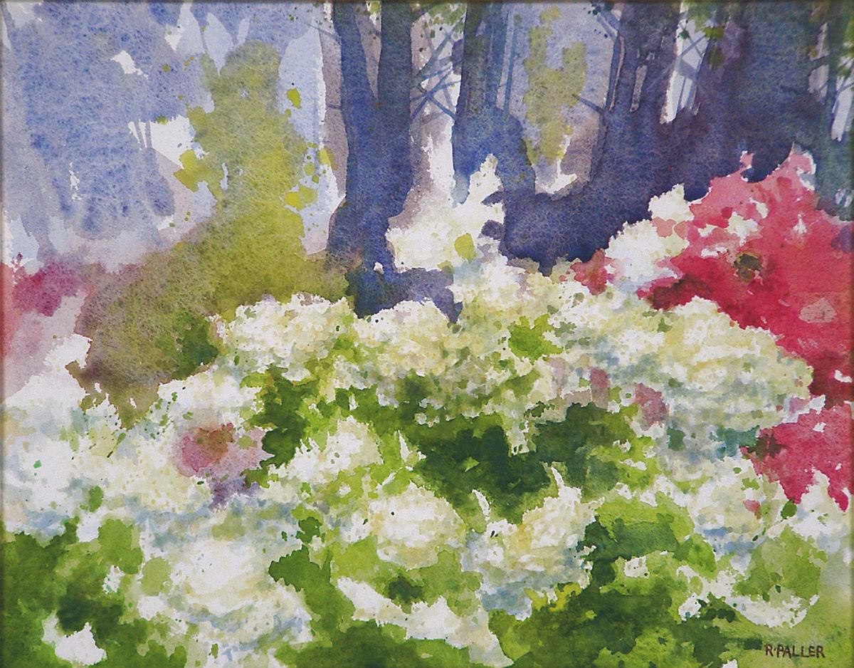 Botanical Watercolour By Rick Paller, 14 X 11", White Hydrangea Flowers, Original Artwork