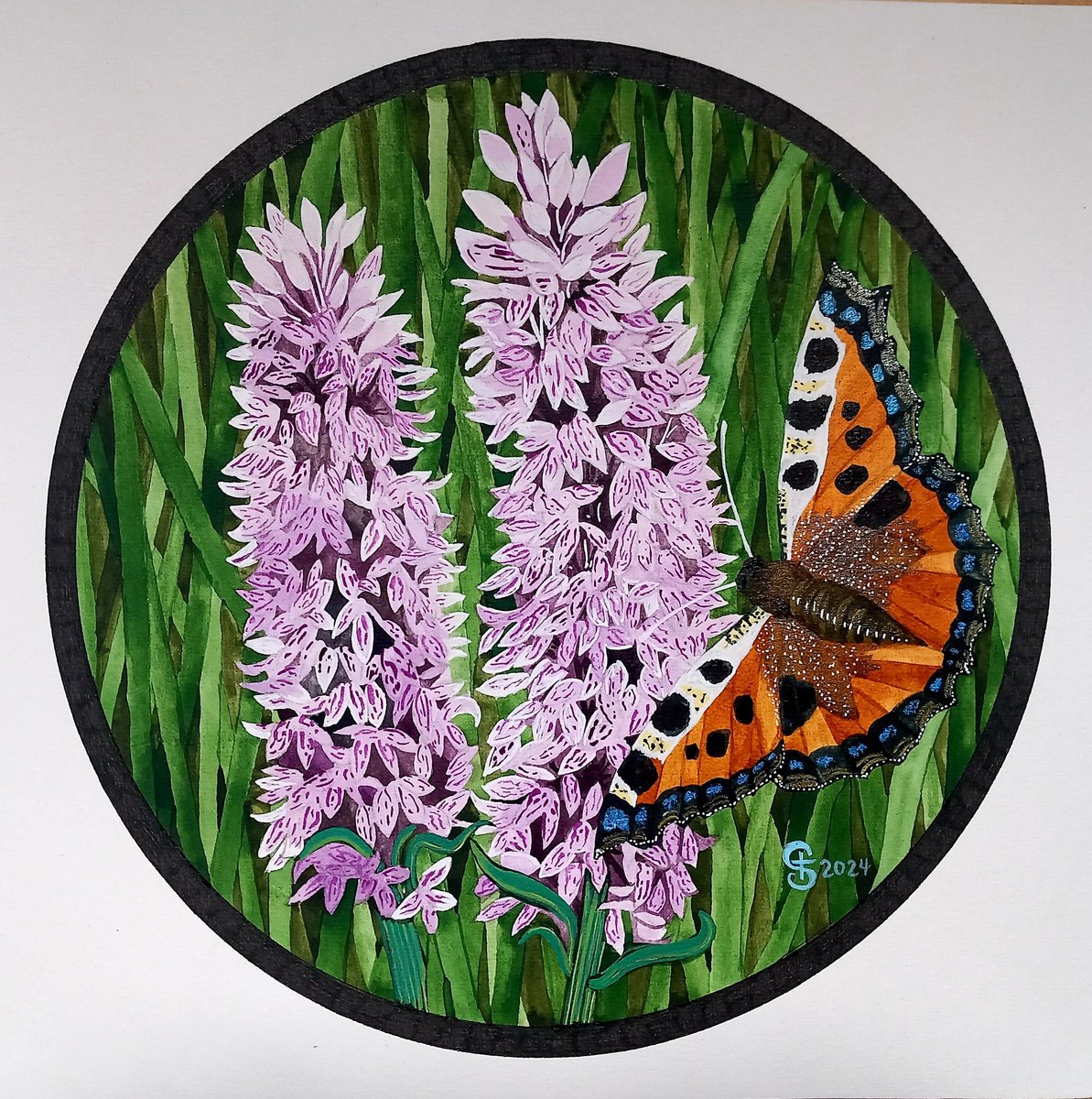 Illustrative Botanical Painting By Terri Smith, 15 X 15", Burren Flowers, Original Artwork