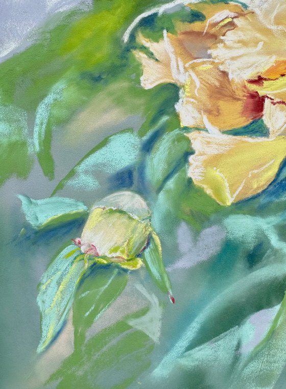 Floral: Yellow Peony