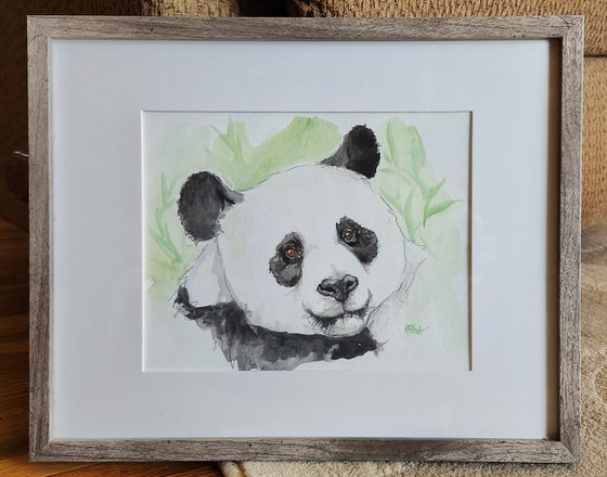 The Panda