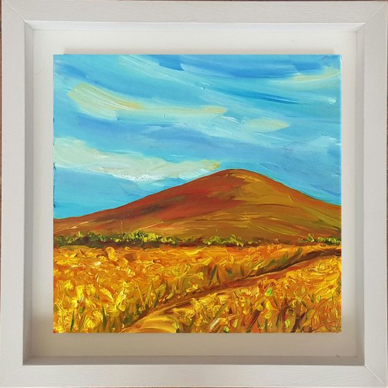 Summer Days  - Blue skies and golden fields of Wicklow Ireland