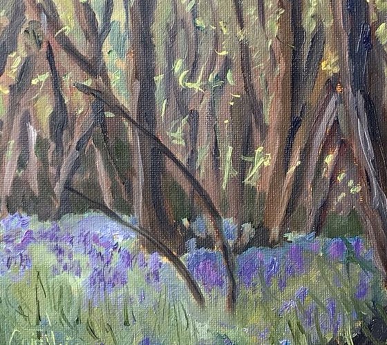 Bluebells in the woods. A delightful spring scene captured in oils.