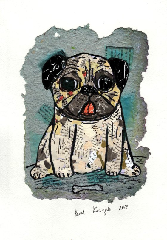 Pug puppy