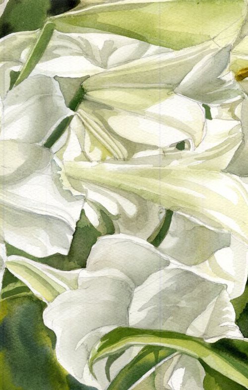 A painting a day #9 'Many shades of white' by Alfred  Ng