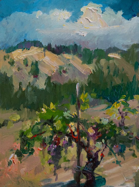 Winery In Napa Valley (study)