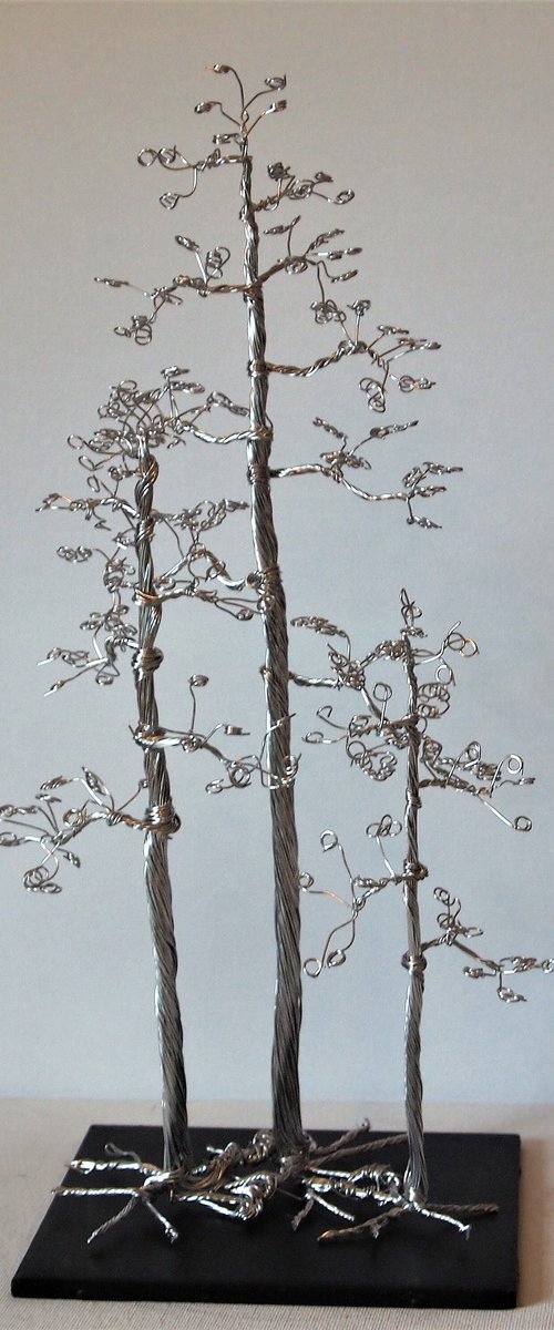 Silver tree, 3 Pine's by Steph Morgan