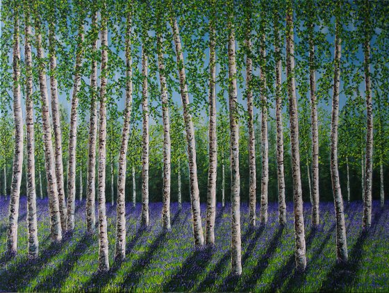 Silver Birches In Spring