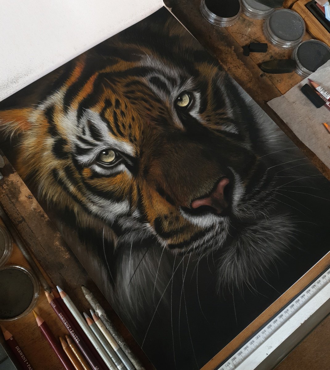 Tiger's Stare lV Painting by Sean Afford