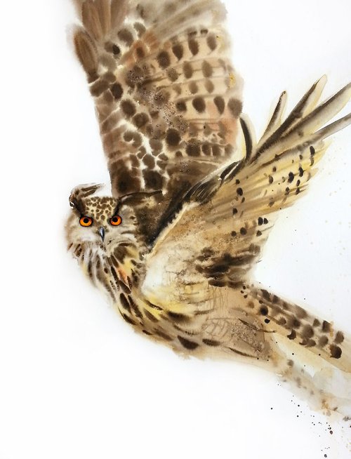 Hoo-hoo-hoo's there - Flying Owl by Olga Beliaeva Watercolour