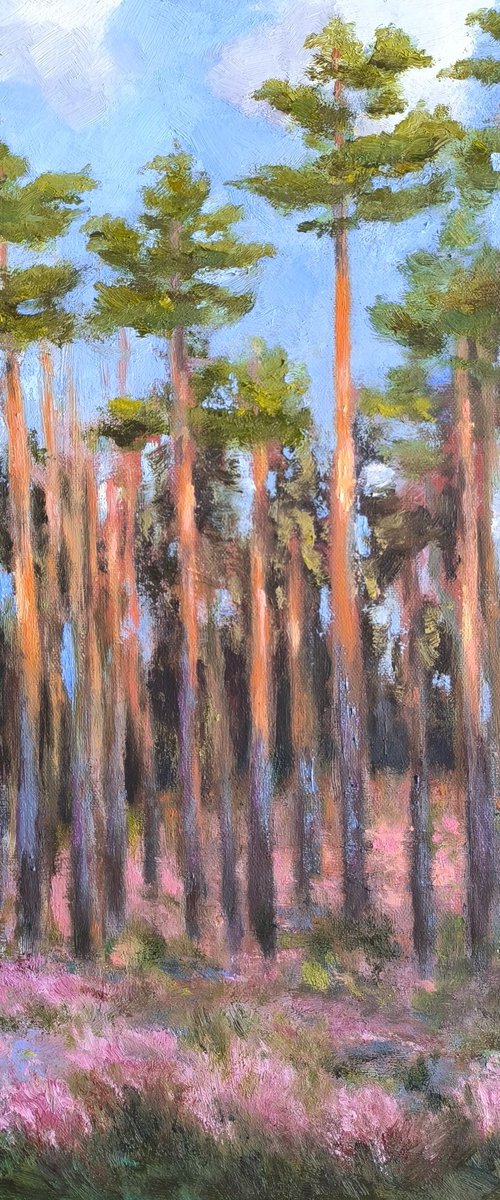 Pine forest by Svetlana Grishkovec-Kiisky