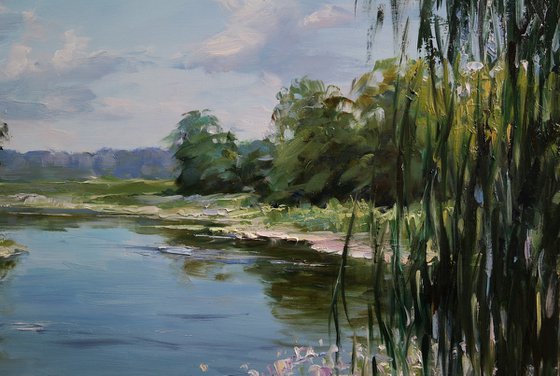 "The Quiet Flow of Summer"
