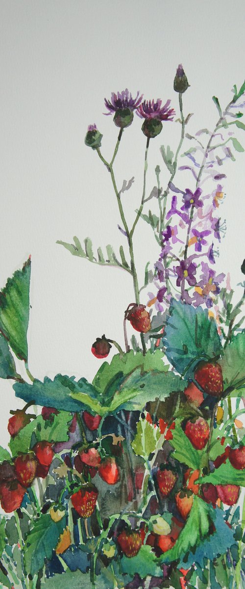 Berry bouquet by Elena Sanina