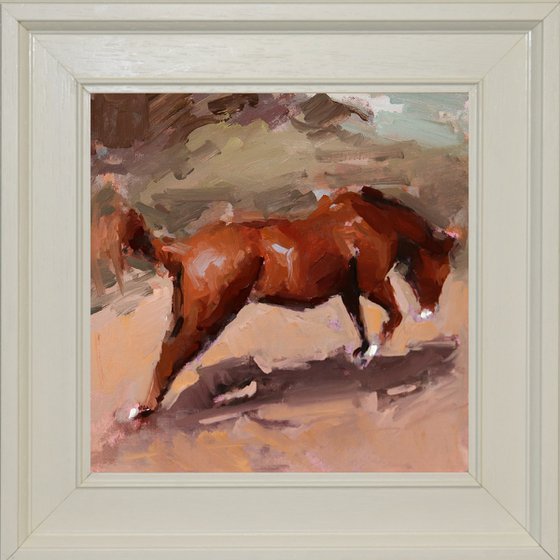 Toffee Horse Study