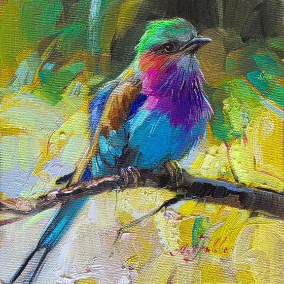 Lilac-breasted roller