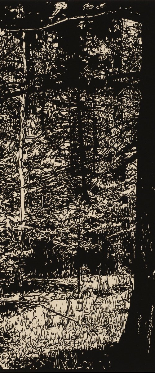 ASPEN GLADE by David Conn