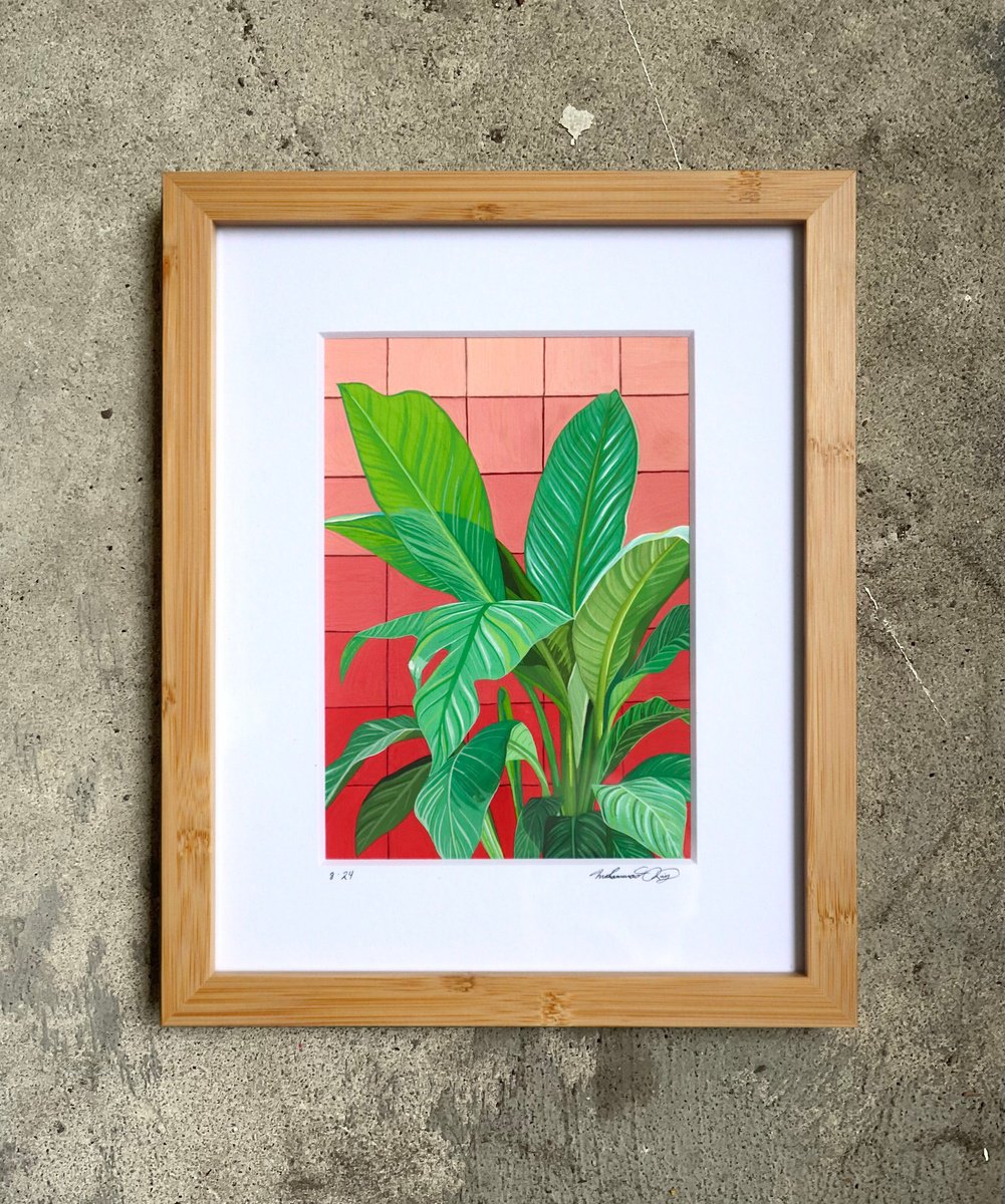 Illustrative Botanical Painting By Amani Muhammad, 9 X 11, Peace Lily, Original Artwork