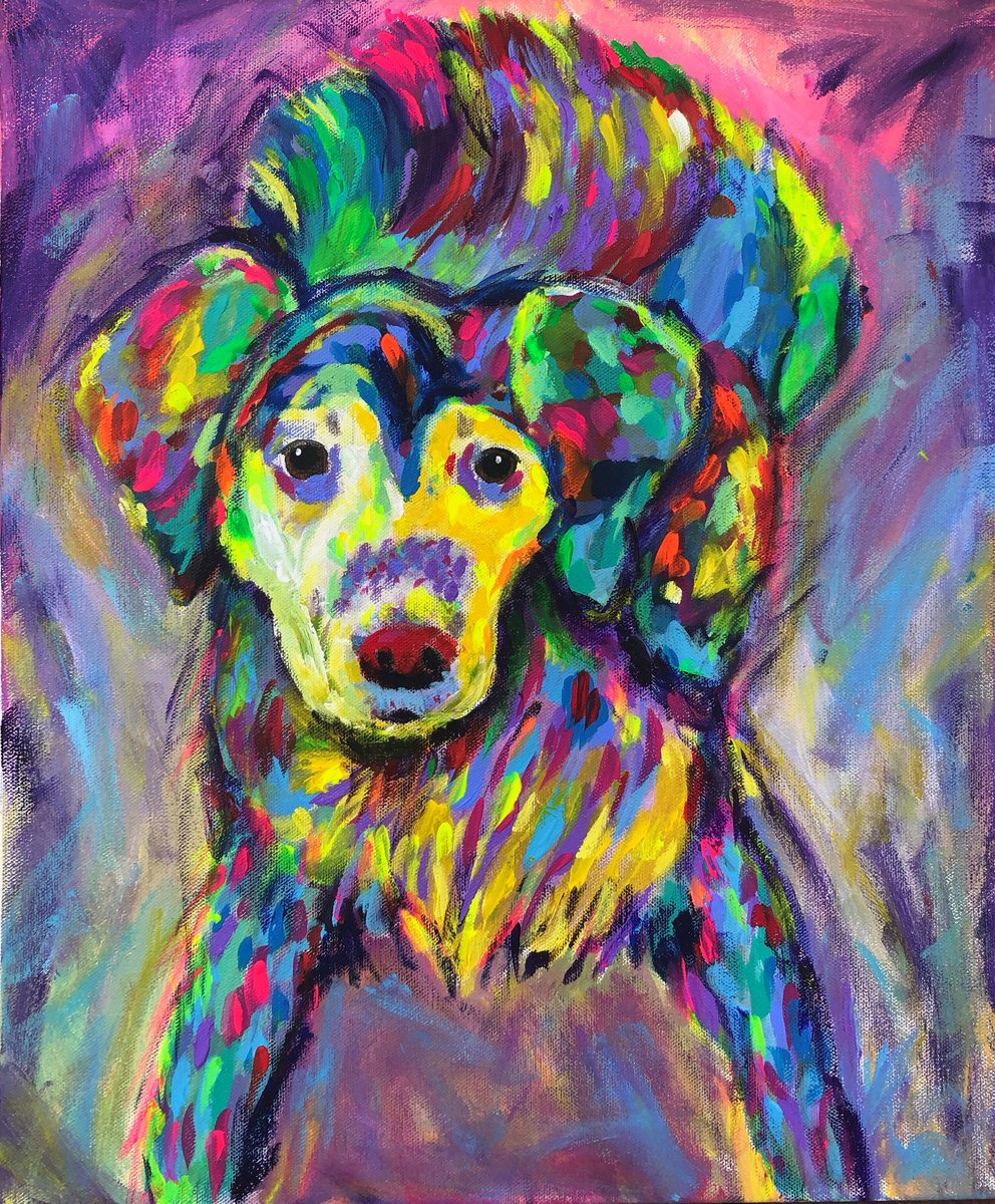 Colorful Retriever by Paul Baaske