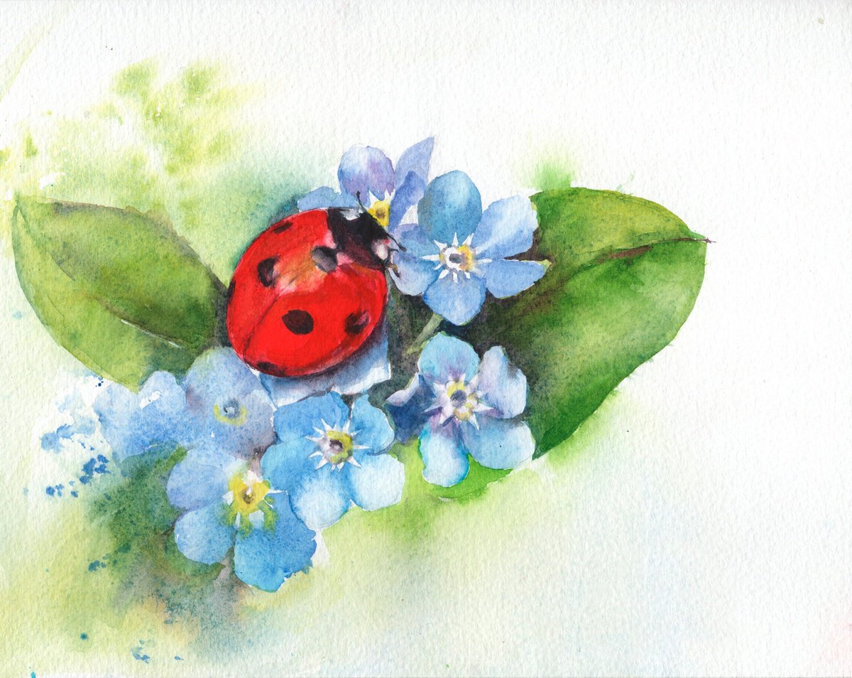 Ladybird on forget me not by Anjana Cawdell