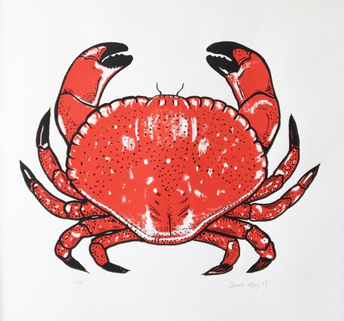Crab by Sarah May Strand