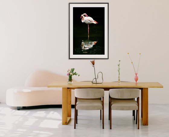 Flamingo_2