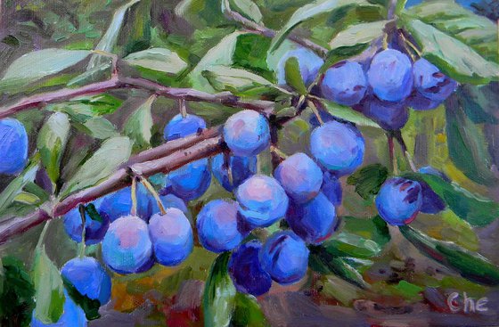 Plums