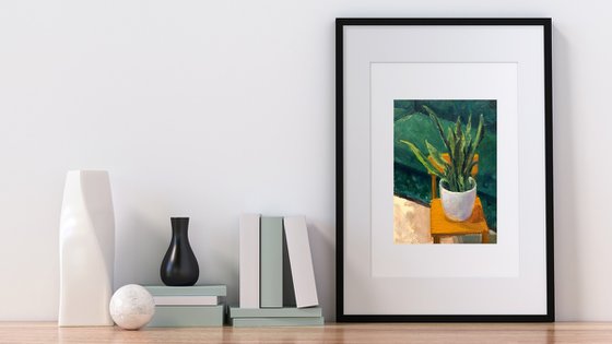 Sanseveria in White Pot Study