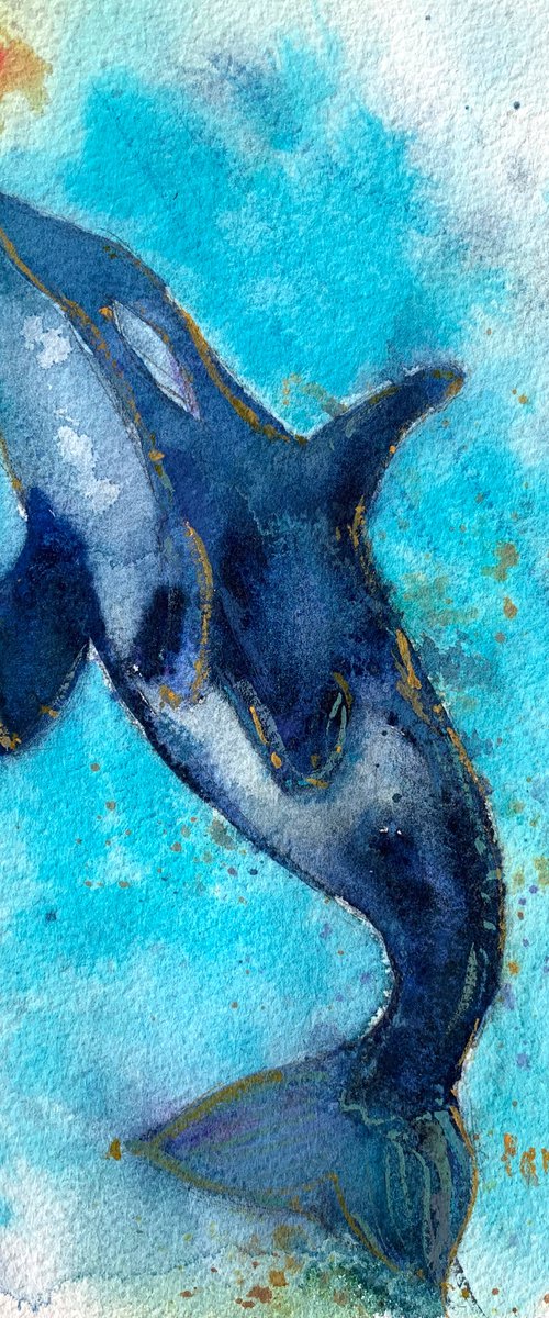 Dolphin #1 by Evgenia Panova