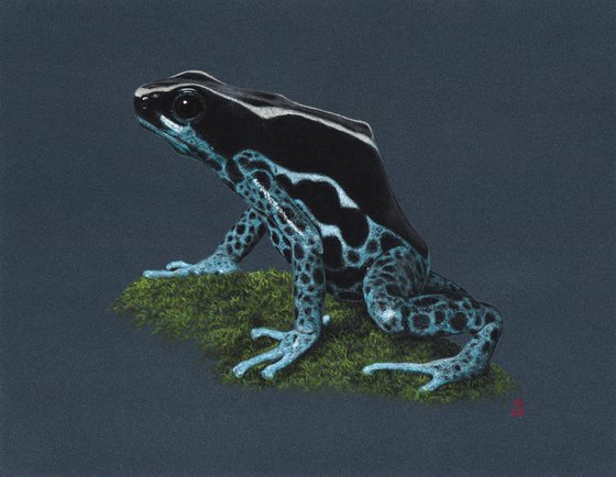 Original pastel drawing "Dyeing dart frog"