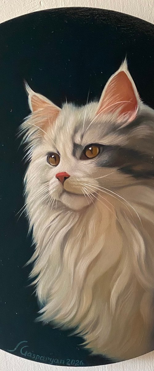 Golden Eyes in Shadow by Ara Gasparian