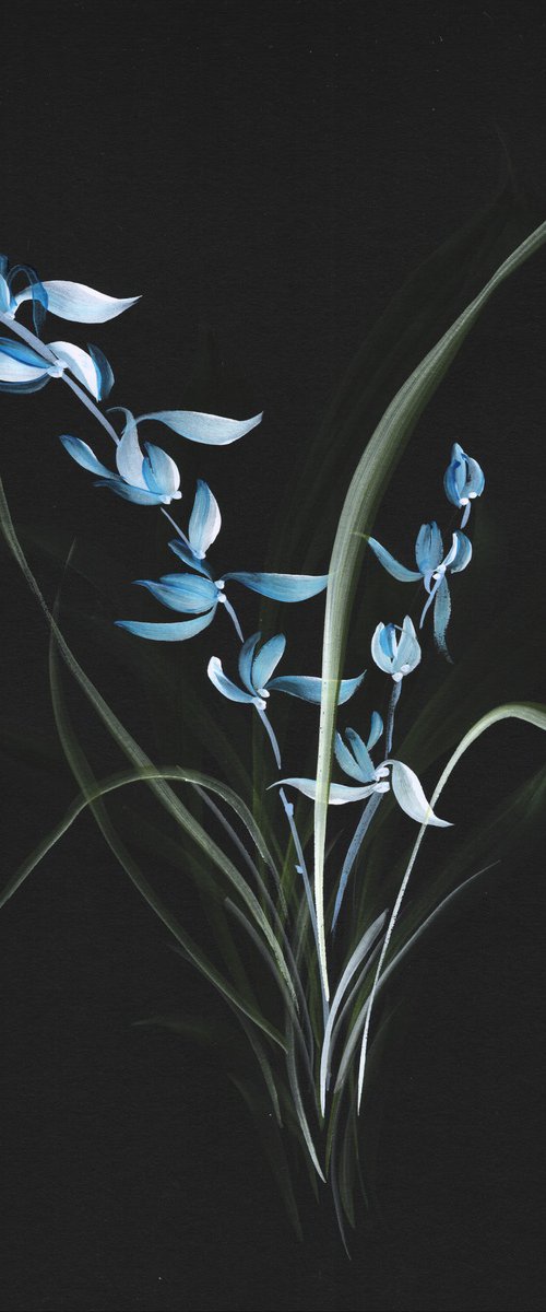 Midnight Orchid by Hai Doan