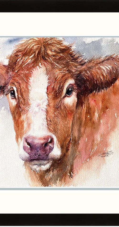 Brown Cow_ Midsummer Gaze by Arti Chauhan