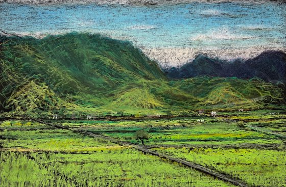 Chihshang Ricefields 2, Taitung