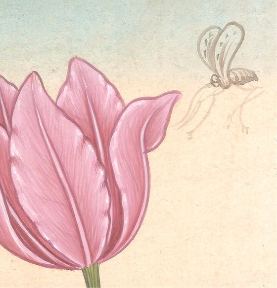 Pink Mughal Tulip | Miniature Painting