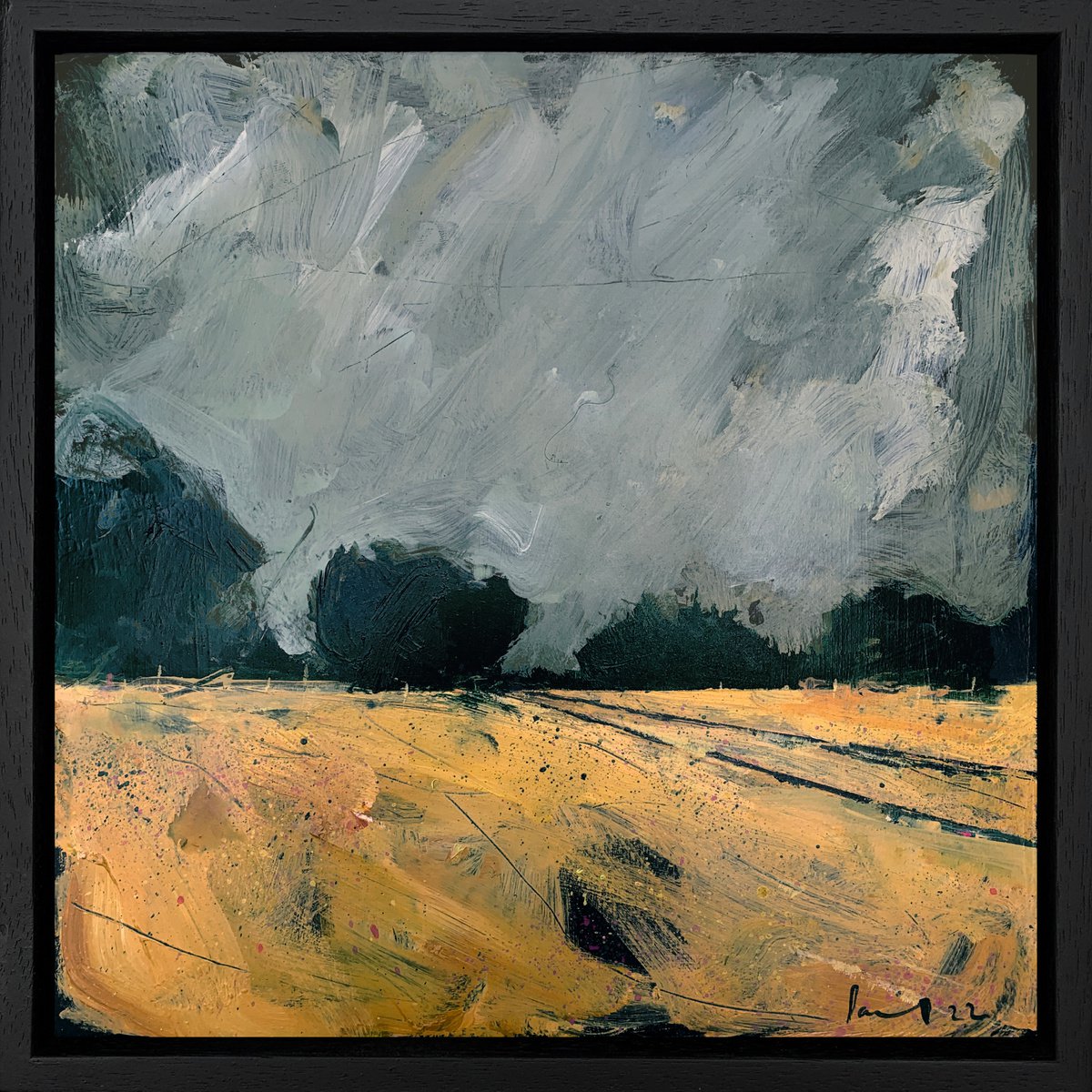 Spring Fields by Paul West