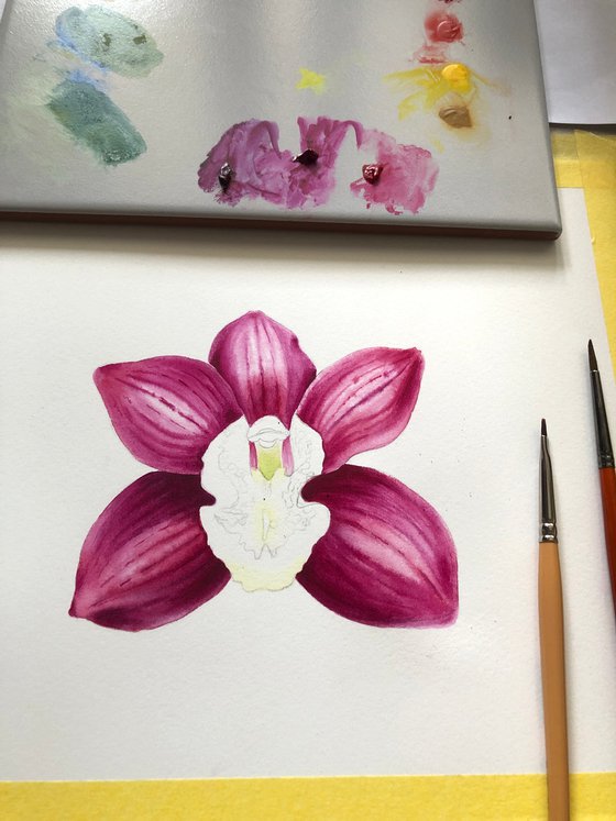 Orchid Cymbidium. A series of original watercolour artwork.