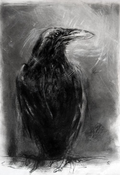 Raven 10 by John Sharp