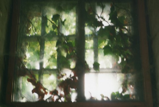 In A Dream State - Unmounted