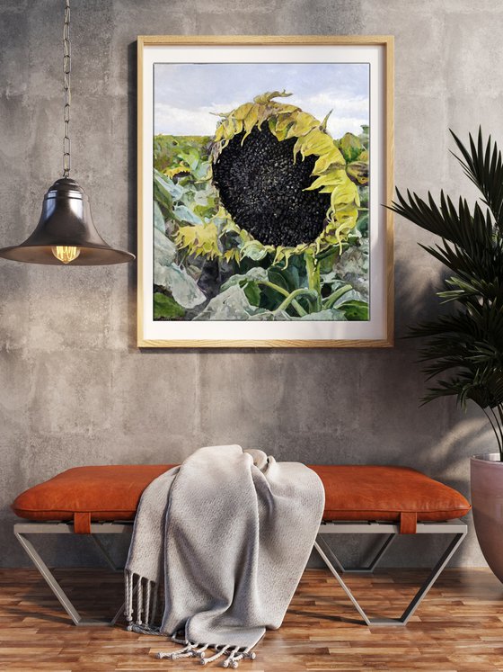 Seeds for the Future Harvest