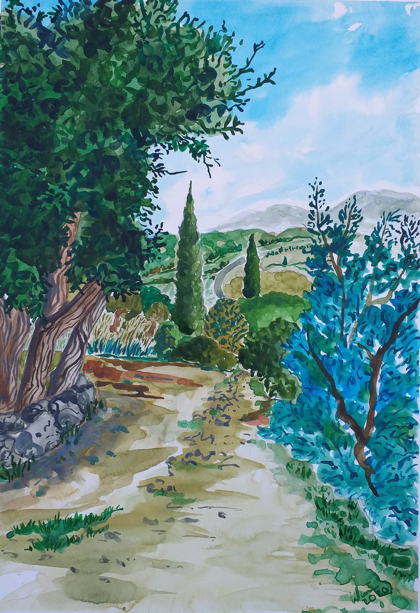 Sierra Gorda pathway by Kirsty Wain